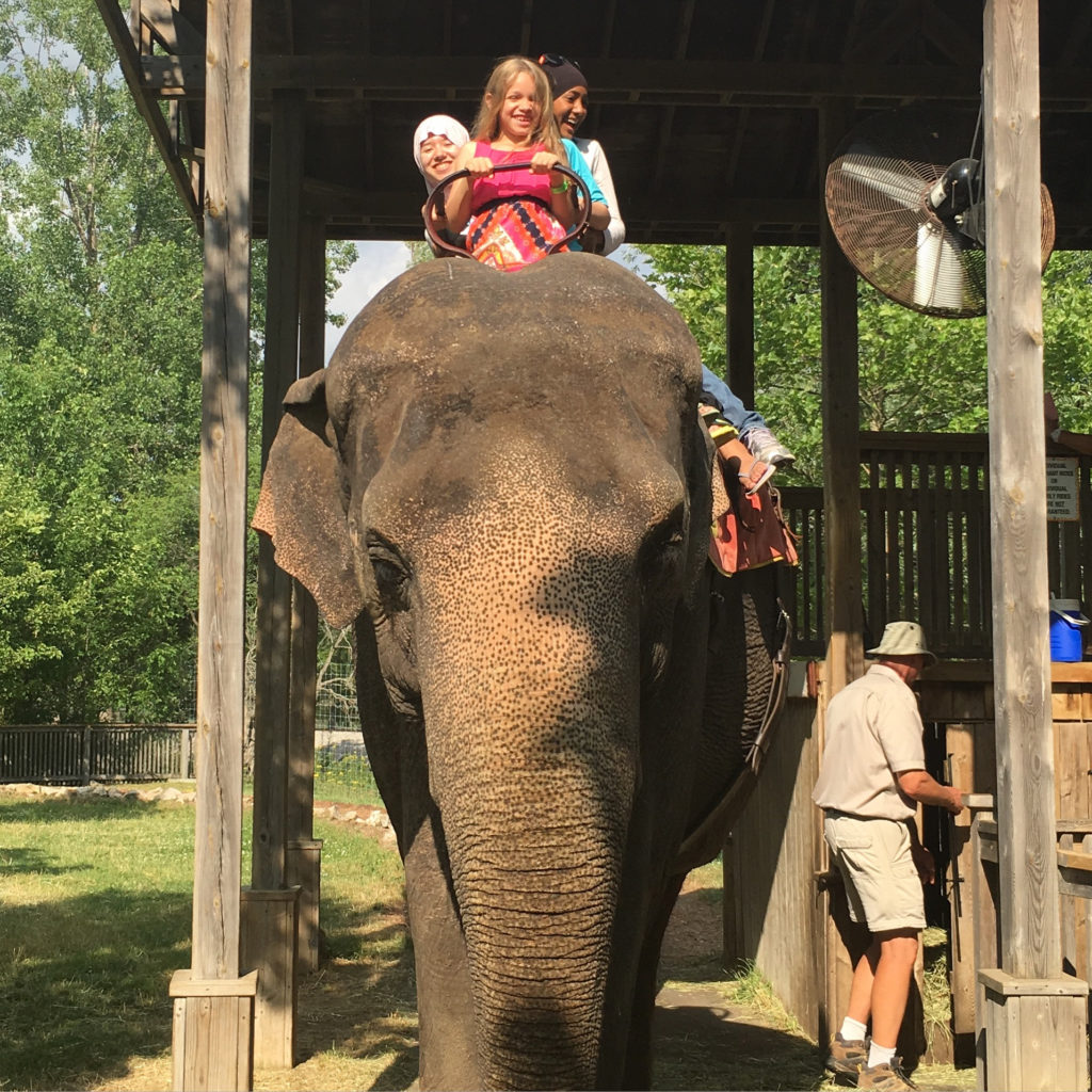 riding elephants matinah pender carryl toronto hamilton african wild safari