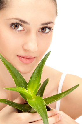 Ayurvedic Herbs: Organic Aloe Vera Powder