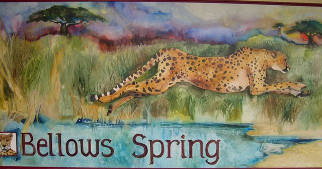 Cheetah Bellows Spring ES picnic