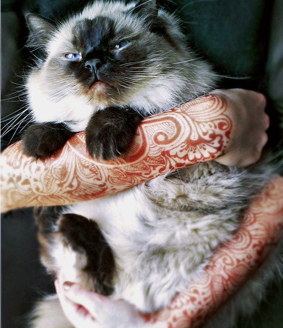 Cute Pets & Your Henna