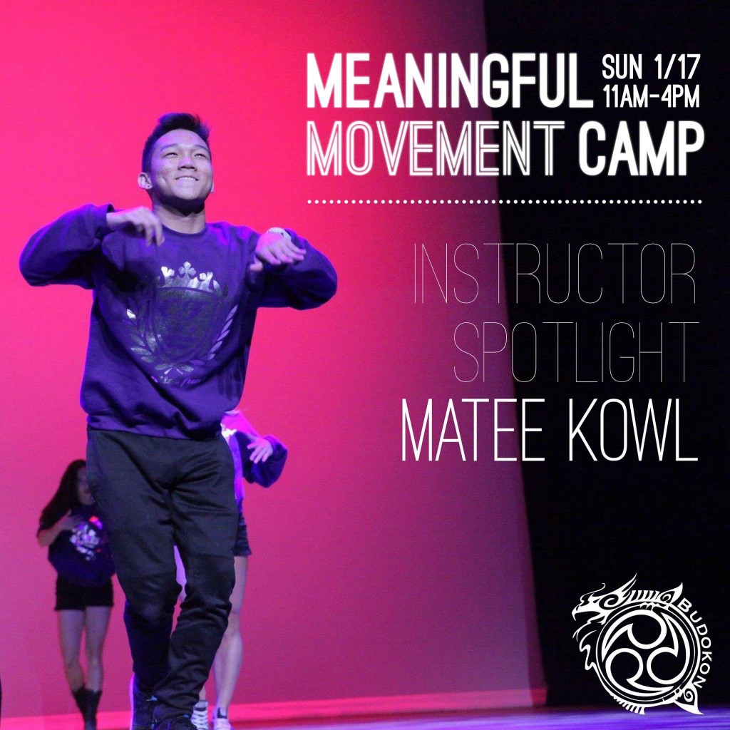 matee kowl Meaningful Movement camp yoga budokon dance bollywood columbia maryland dc dmv training camp class workshop