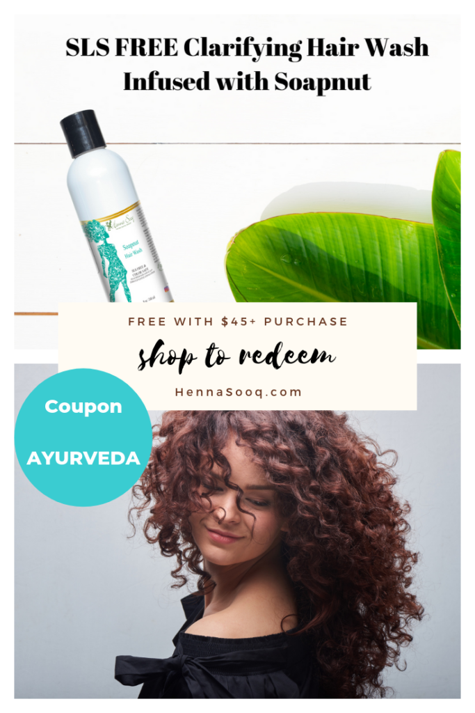 Get it Free! Soapnut Hair Wash | Henna Blog Spot